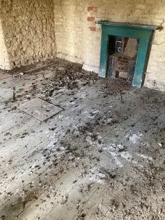 Bird Guano