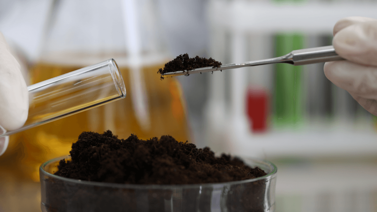 Lab technician transferring soil sample to test tube for WAC testing